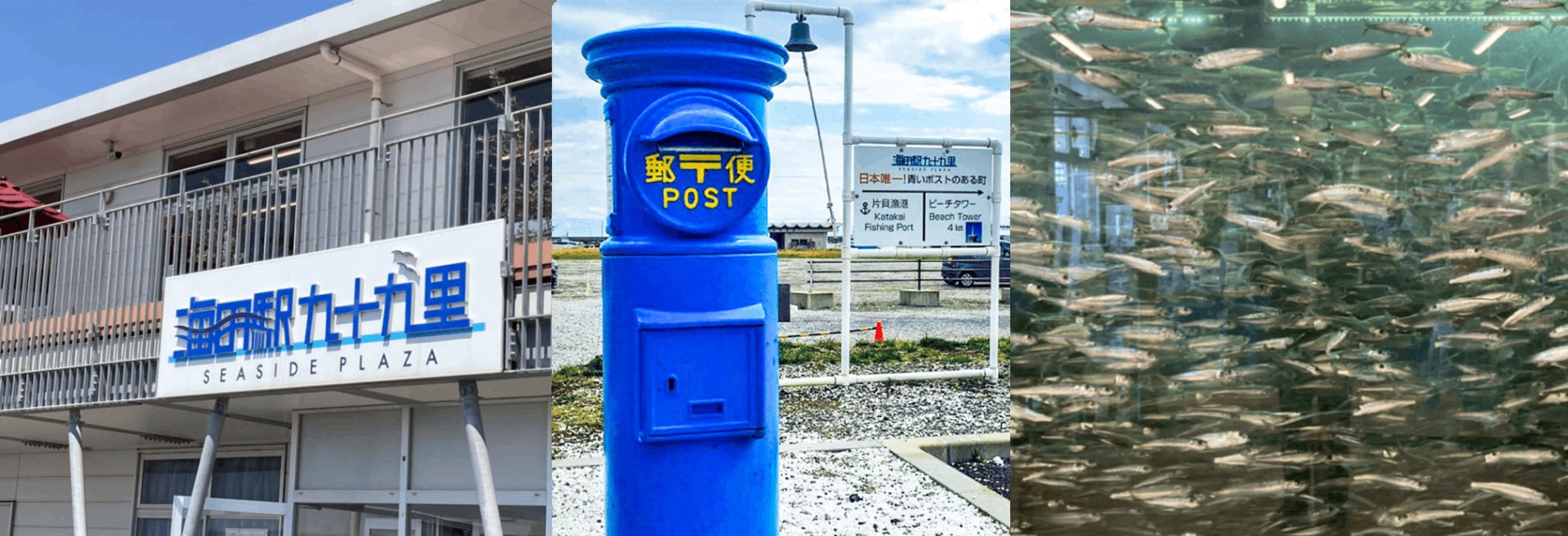海の駅　九十九里