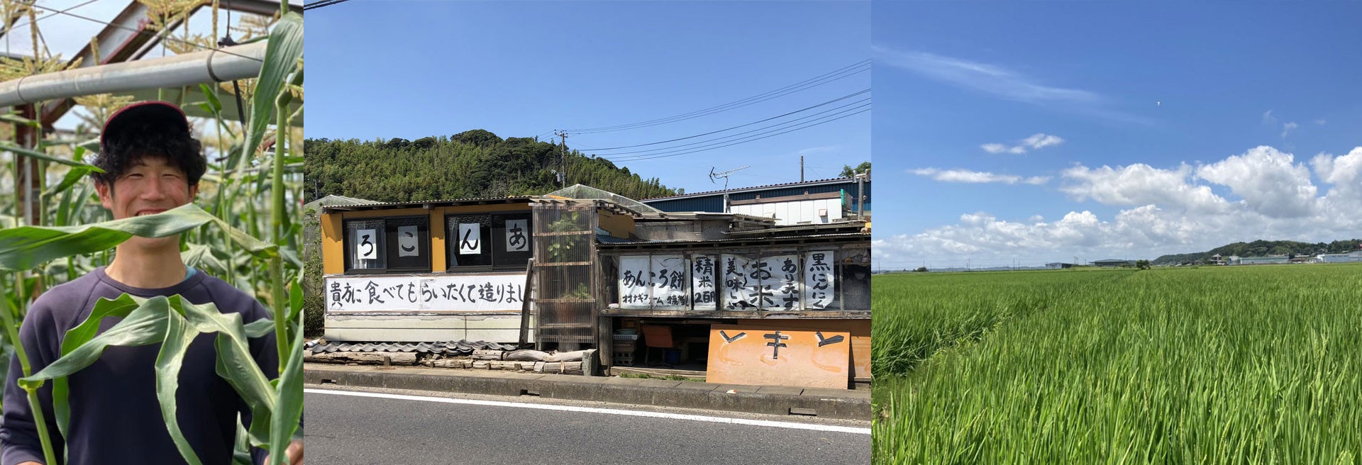 オオナギファーム