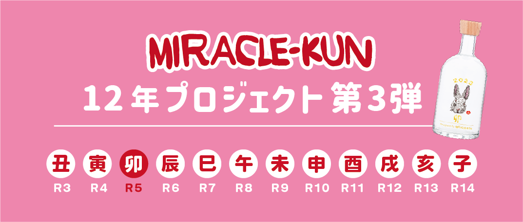 沖縄泡盛、干支ボトル！２本！ 琉球泡盛 干支ボトル 平成26年・午年ボトル青、赤 – 沖縄 琉球