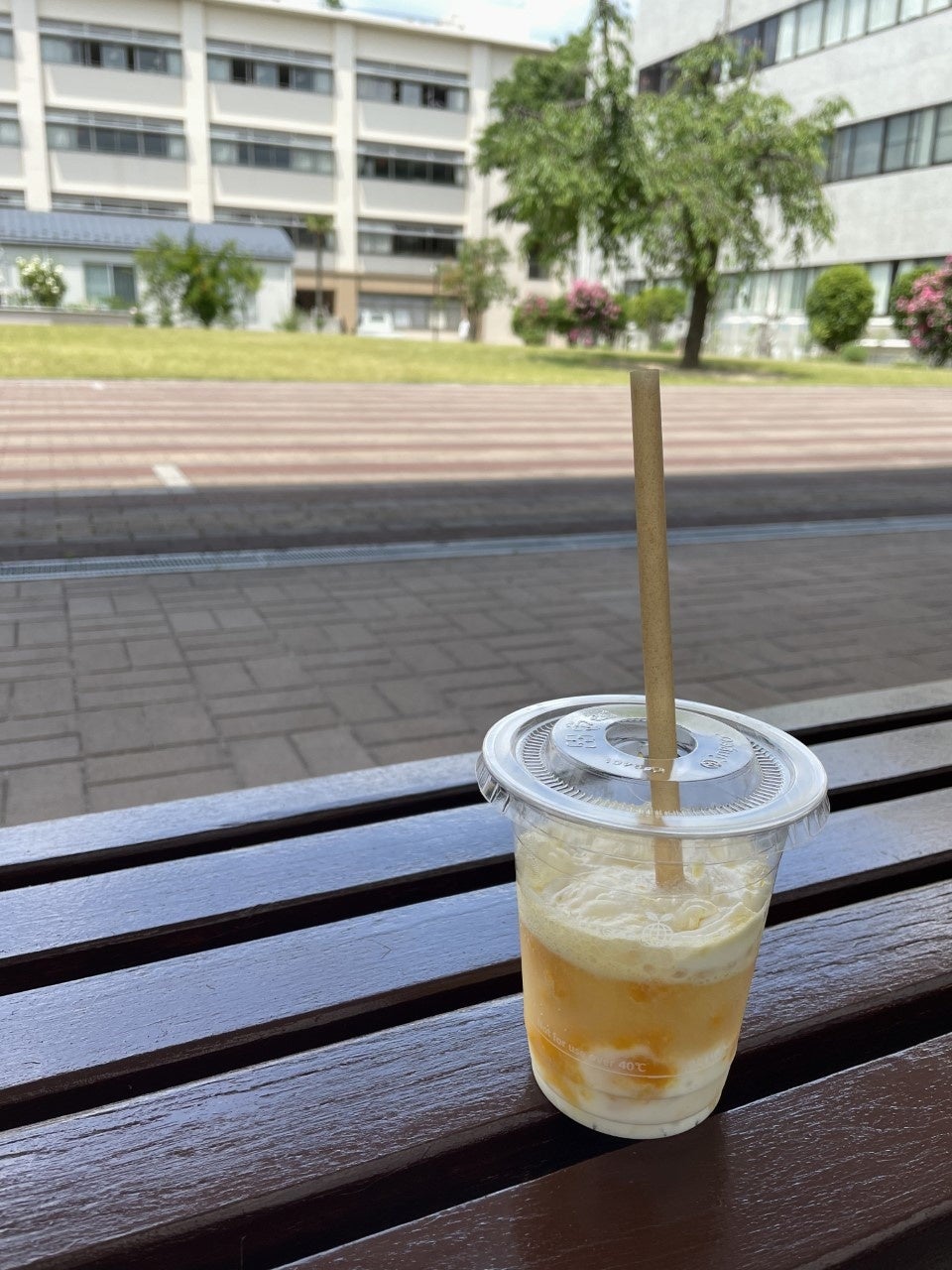 炭酸ヨーグルト