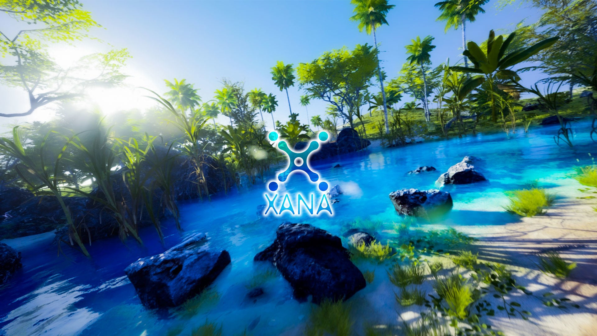 XANA NFT METAVERSE