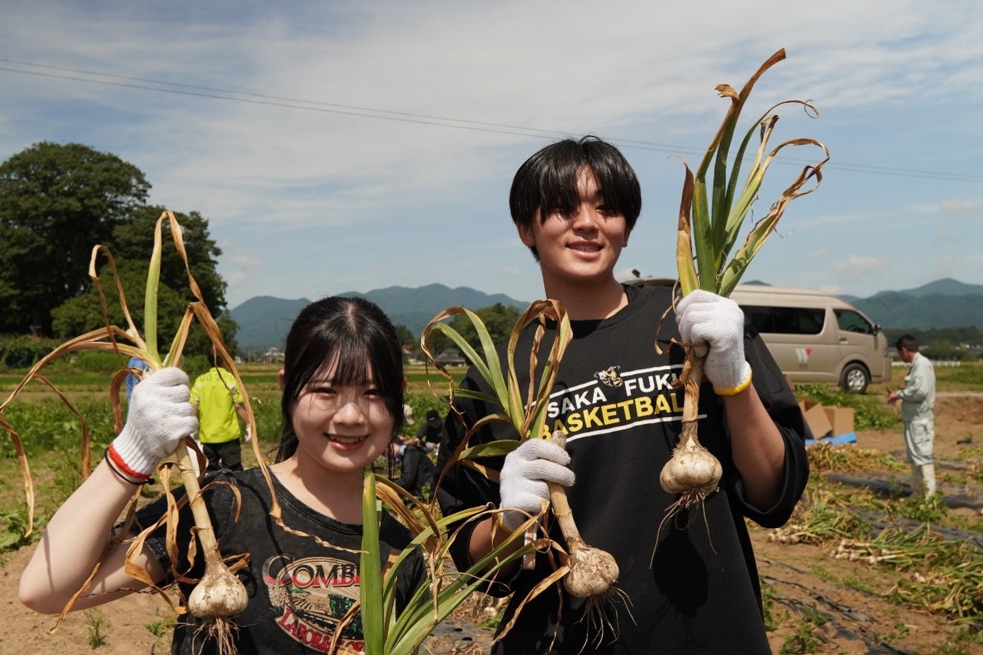 にんにく収穫の様子