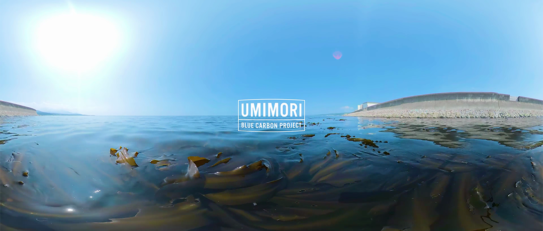 ©️NIPPON STEEL 「UMIMORIプロジェクト」