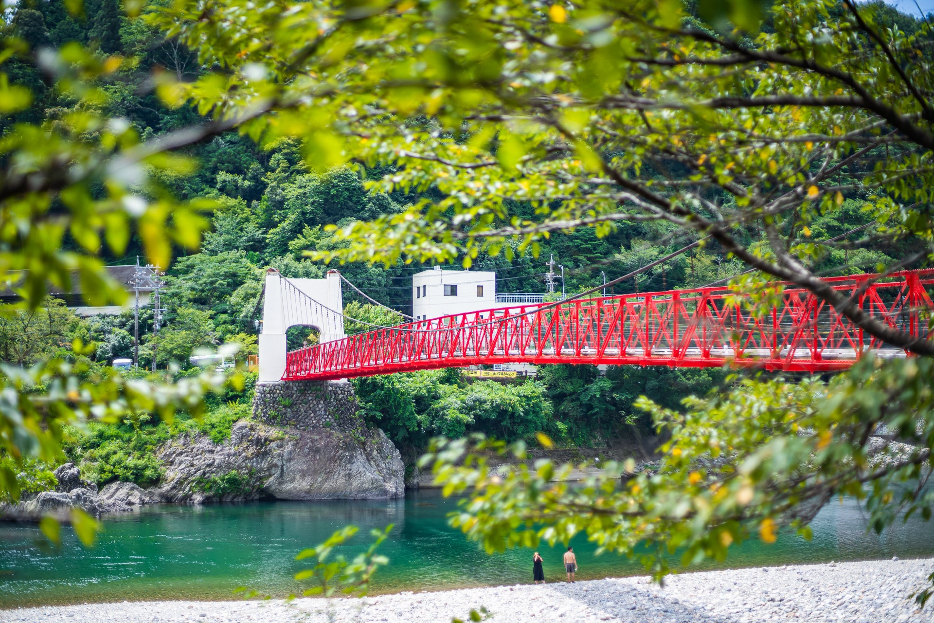 美しい一級河川の長良川で川遊びや鮎釣りの体験が可能