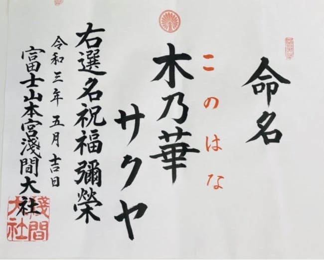 選名祈祷は全国の浅間神社約1300社の総本宮である富士山本宮浅間大社！（静岡県富士宮市）