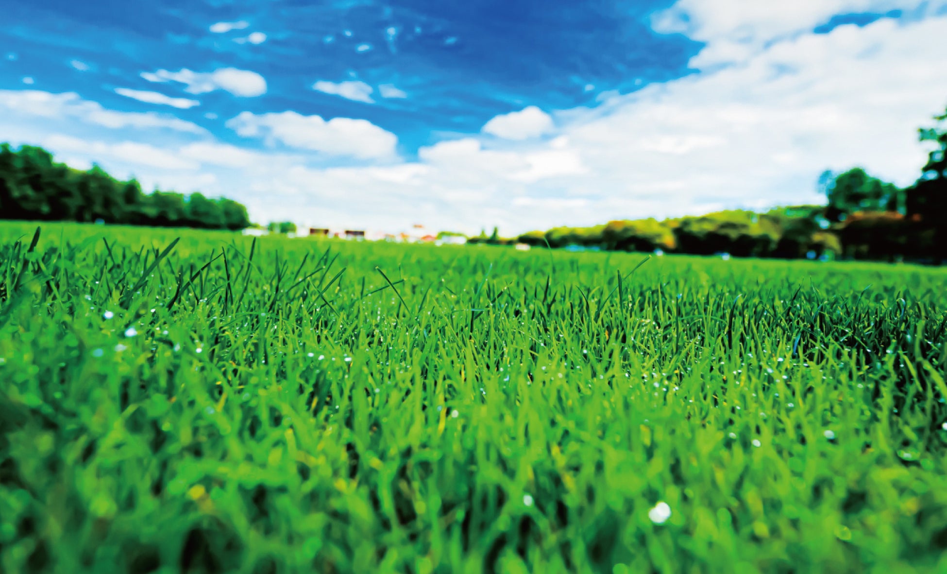 店舗近隣にはサッカー場やフットサル場があるエリアに、展開していきます。