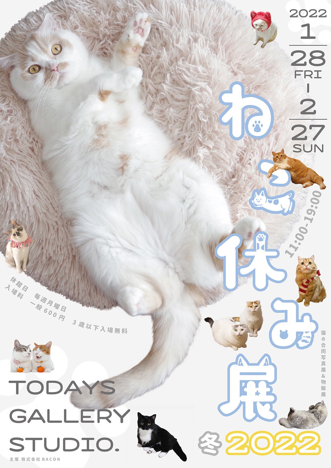 キービジュアル(タテ)