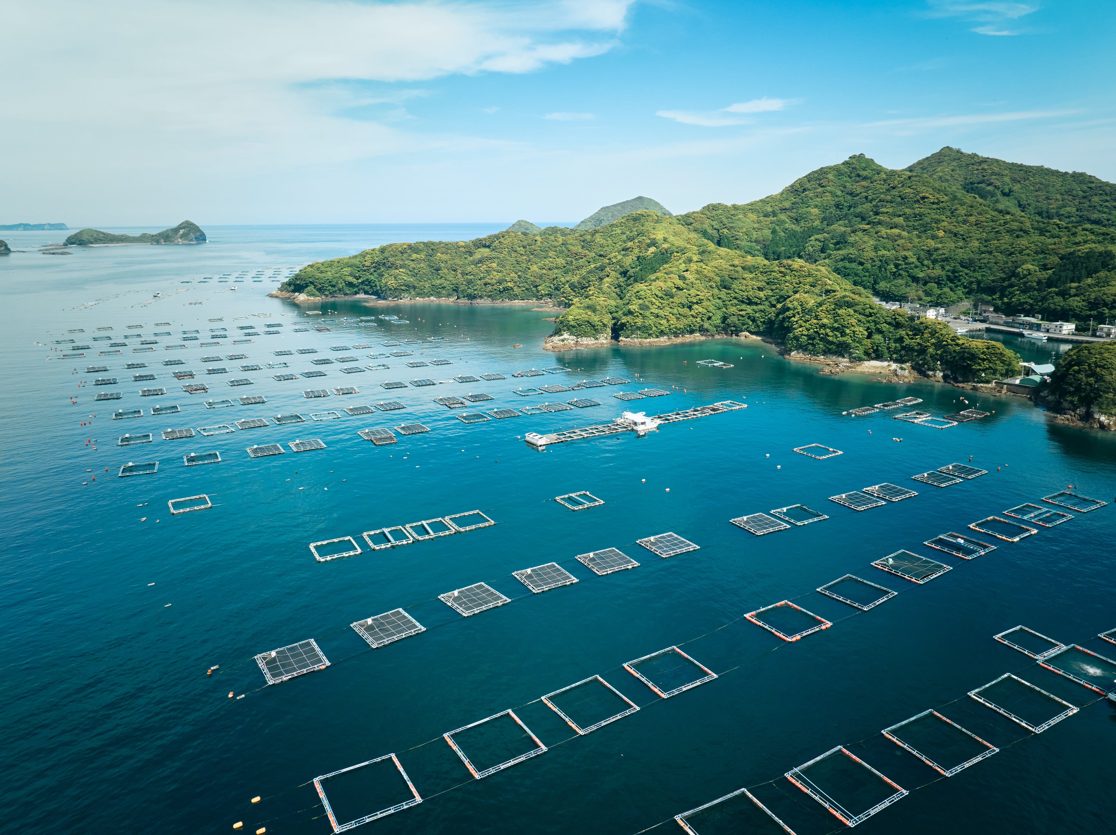 宮崎県延岡市沖に浮かぶ島浦島。魚が育ちやすい地形や海流、美しい自然は宝です