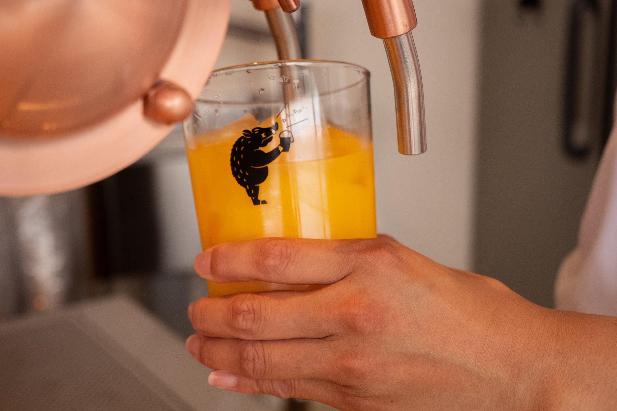 常時3種類の柑橘ジュースをビールタップから提供