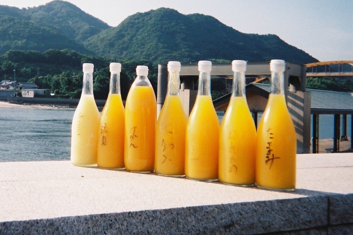 様々な品種の柑橘ジュース