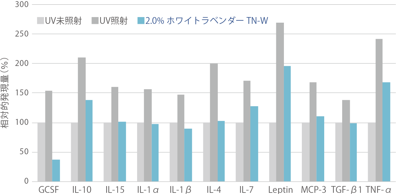 ホワイトラベンダーTN-Wの炎症性サイトカイン分泌抑制効果