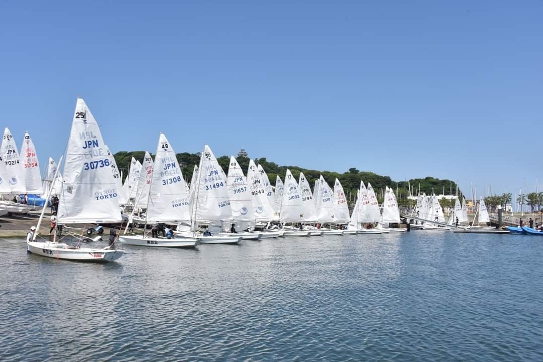 学生ヨット大会の様子