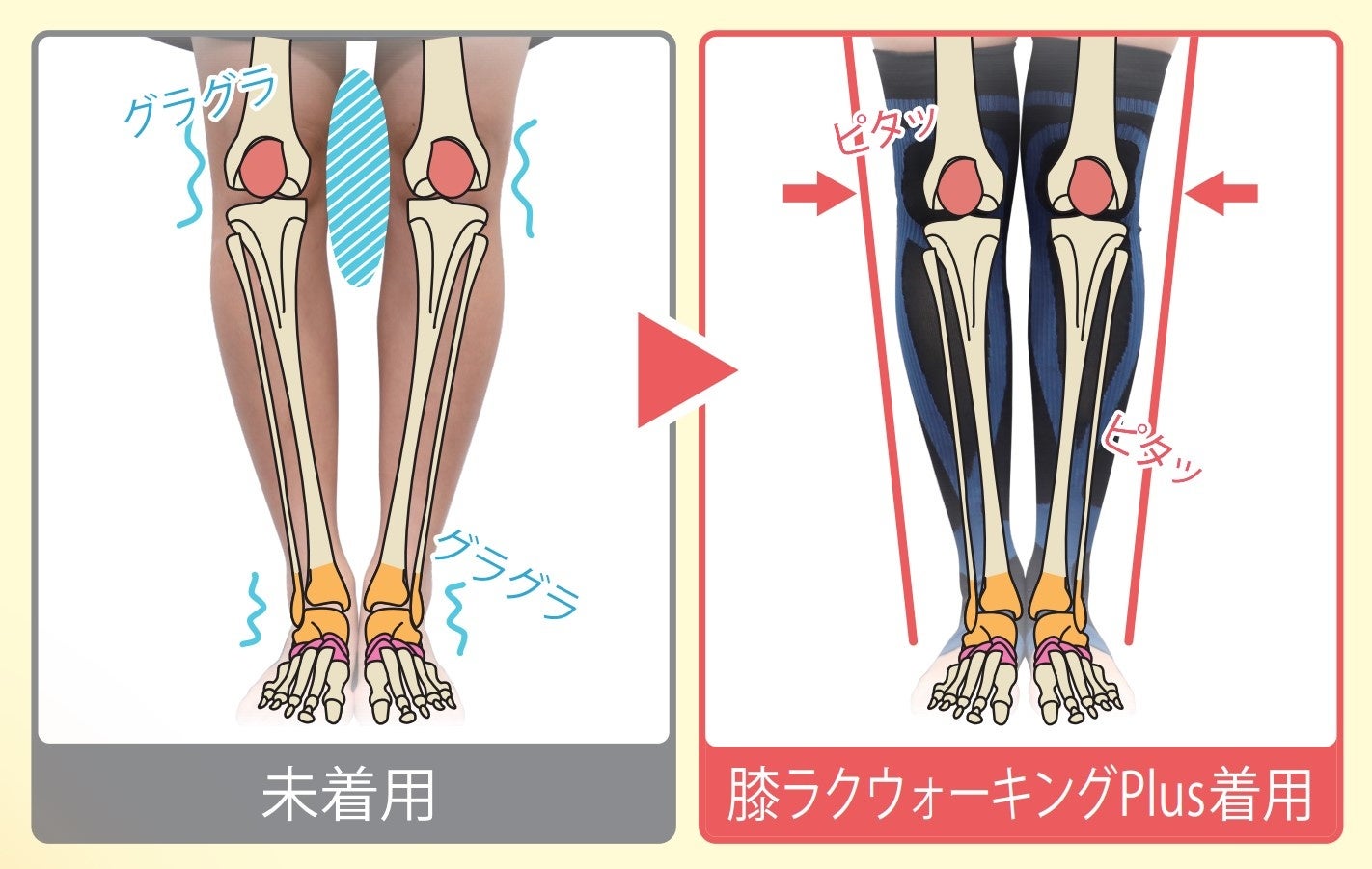 保阪尚希さん監修】大人気の「膝ラクウォーキングPlus」が新色を