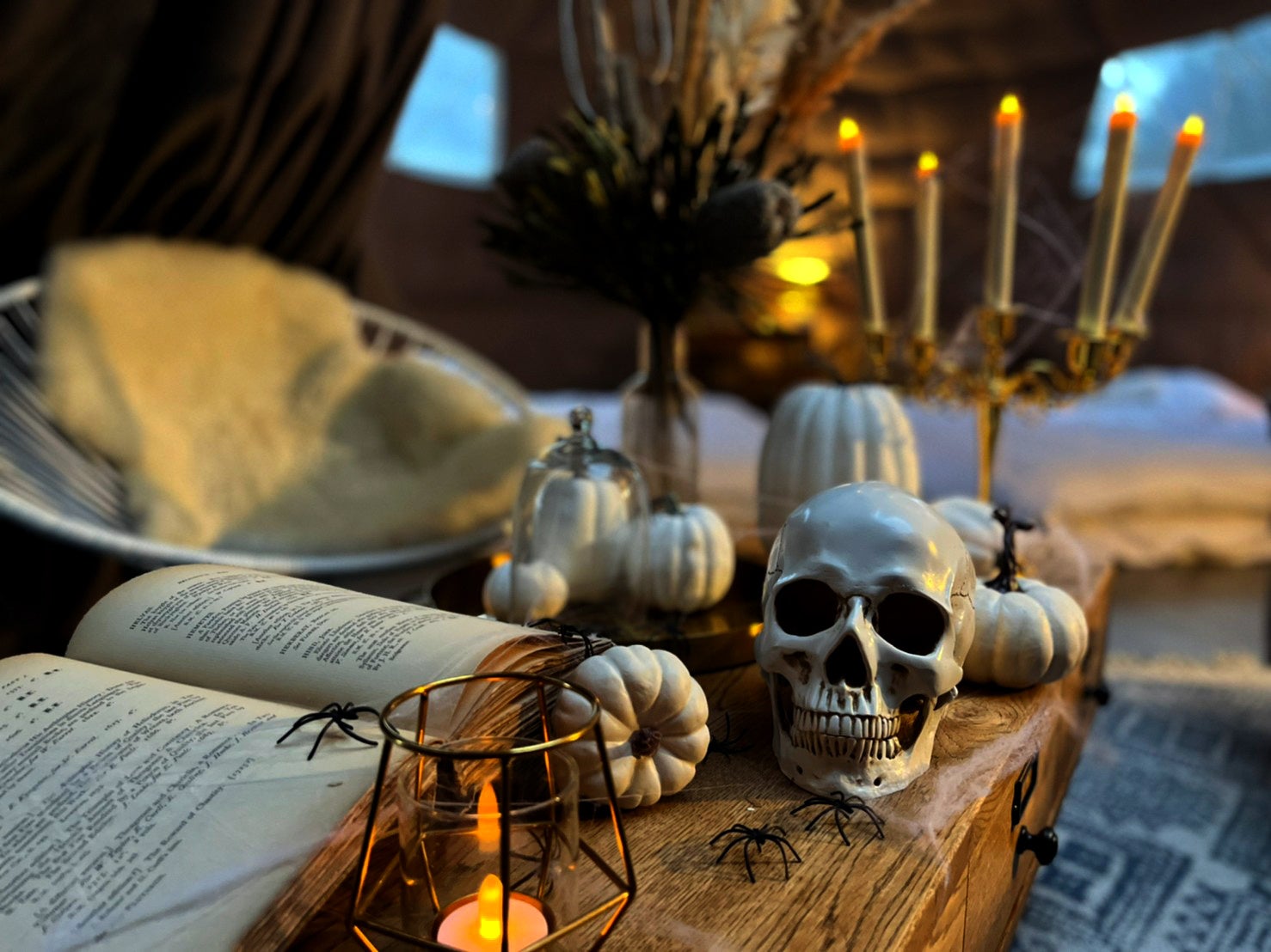 真っ白なガイコツが置かれた白魔女の部屋