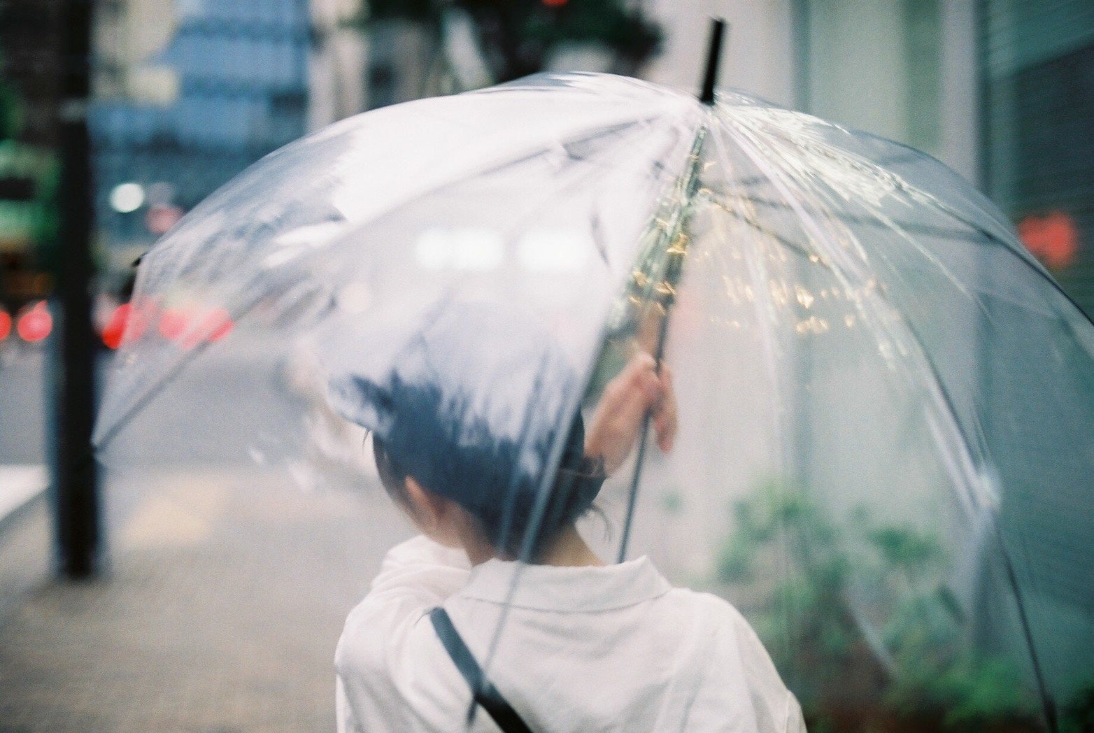 「あの日のアオ」 映画『あの日のアオ』公式サイト – 「私たちは同じ街で育って