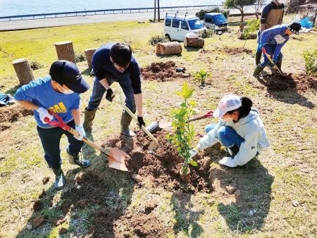 植樹のようす