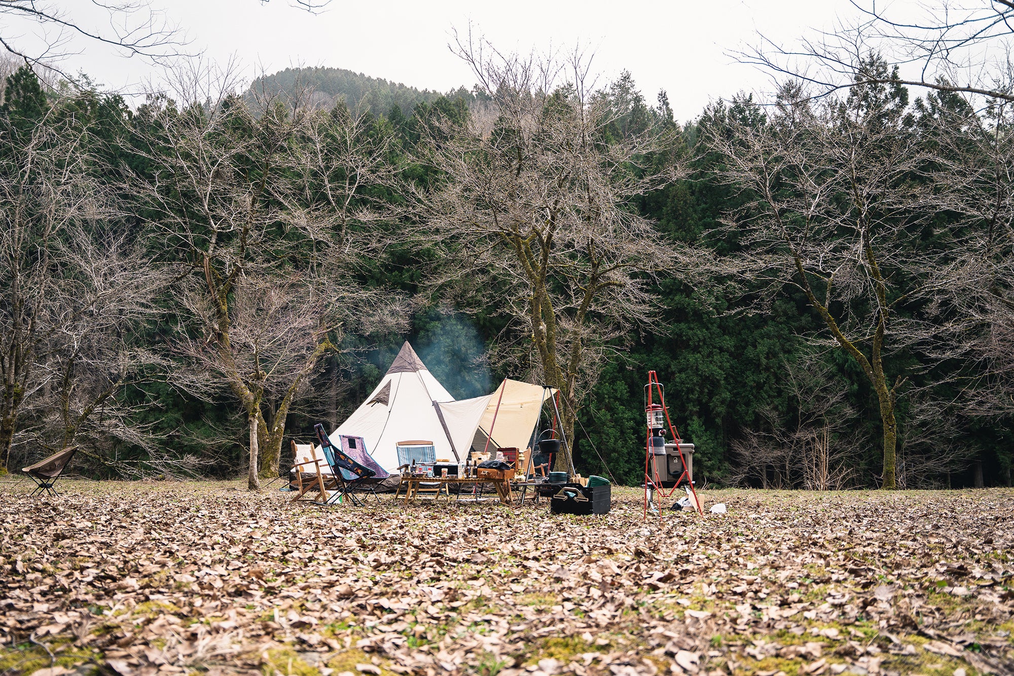 キャンプサイト