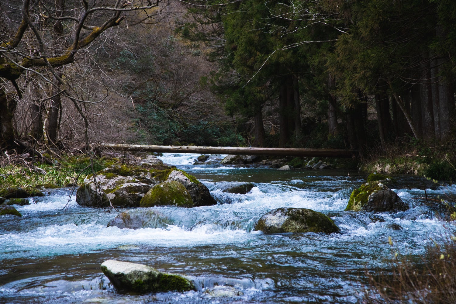 近くを流れる川