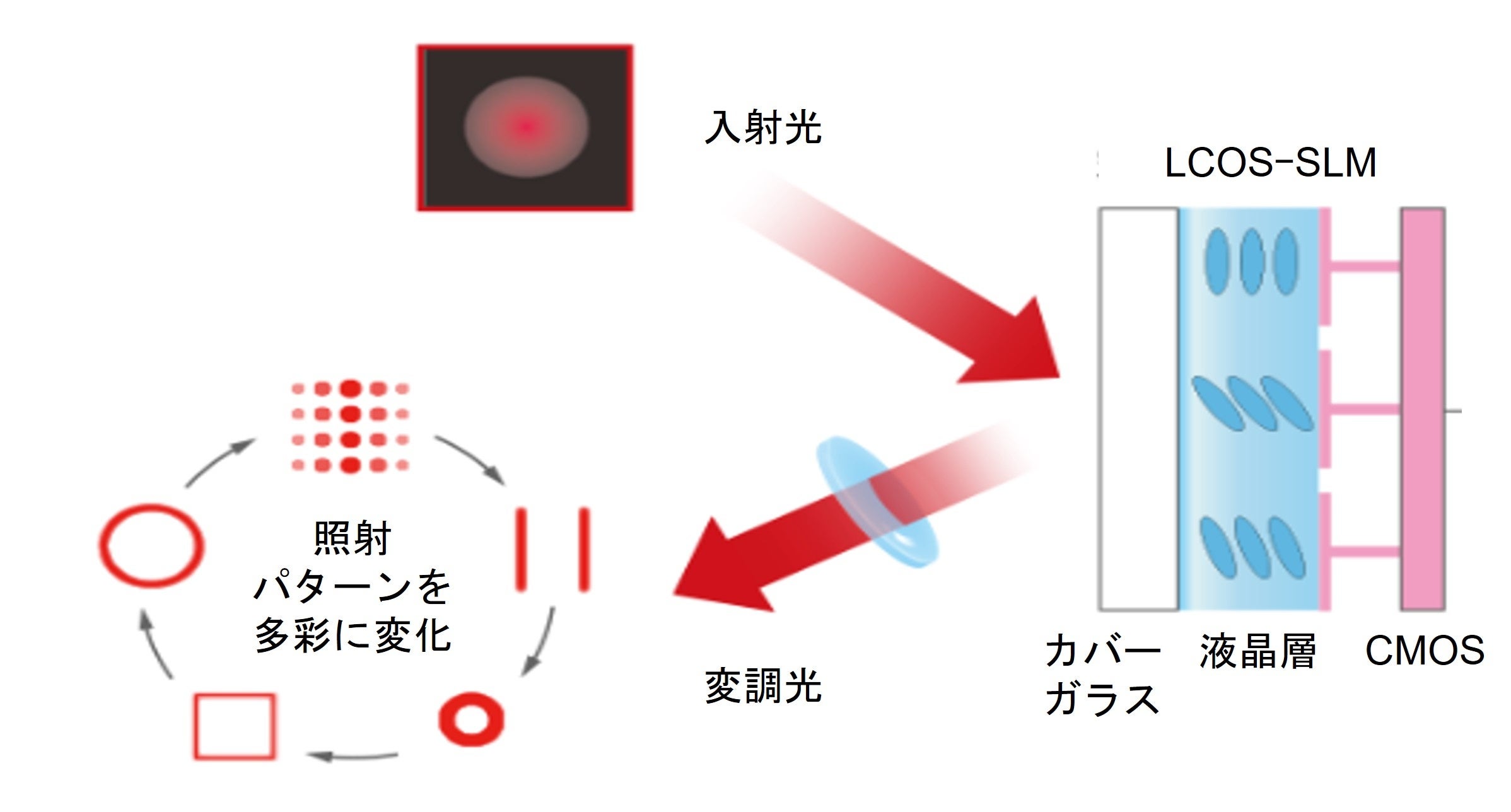 LCOS-SLMの仕組みと応用イメージ