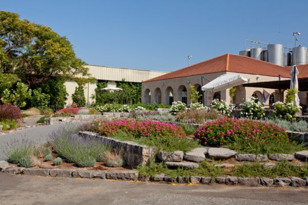 ゴラン・ハイツ・ワイナリー