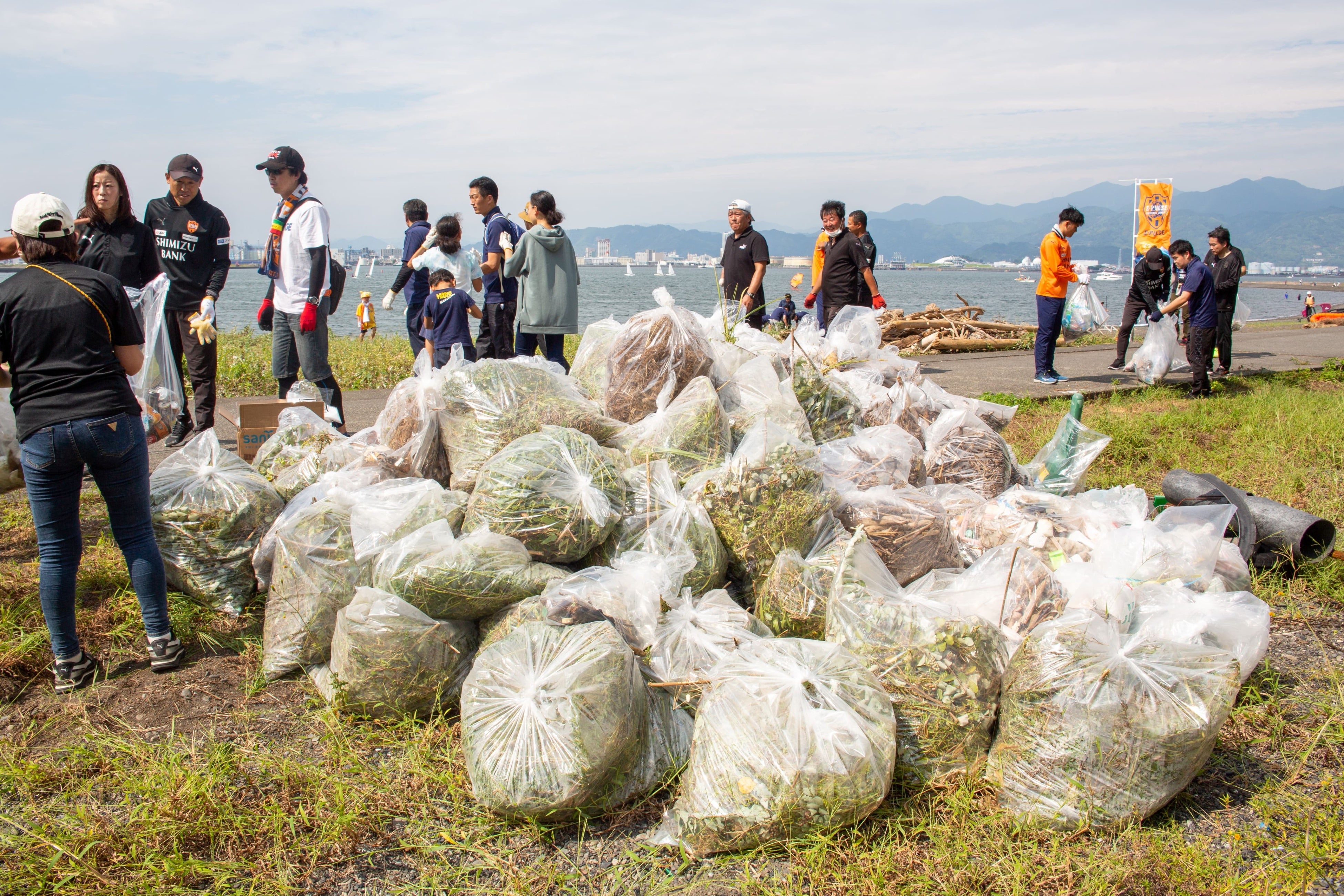 当日回収したごみ