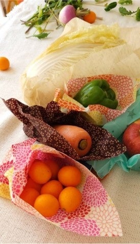 JSCF主催ミツロウラップワークショップ