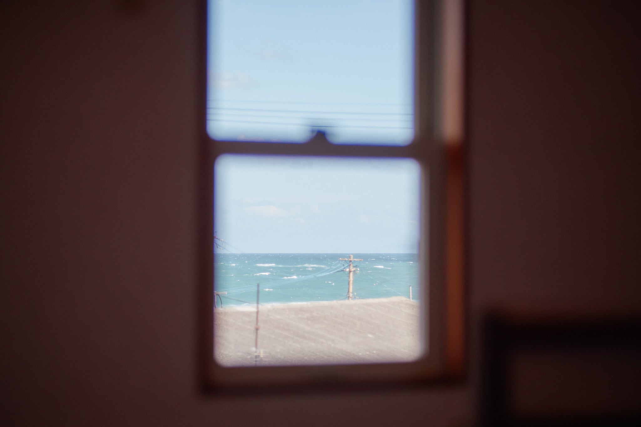 シングルルームからの眺め