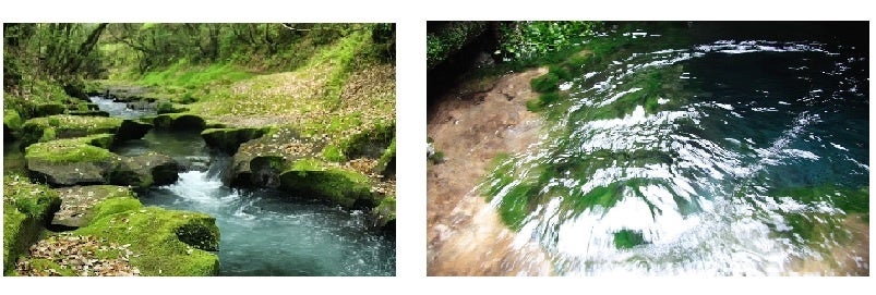 大出水の湧水（横川町）