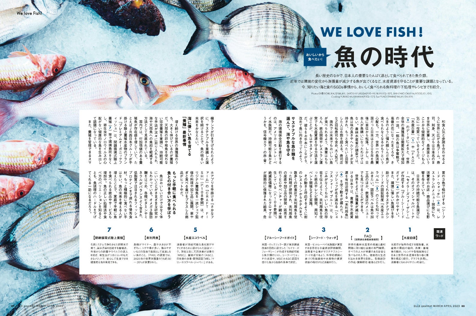 　『エル・グルメ』3月号より