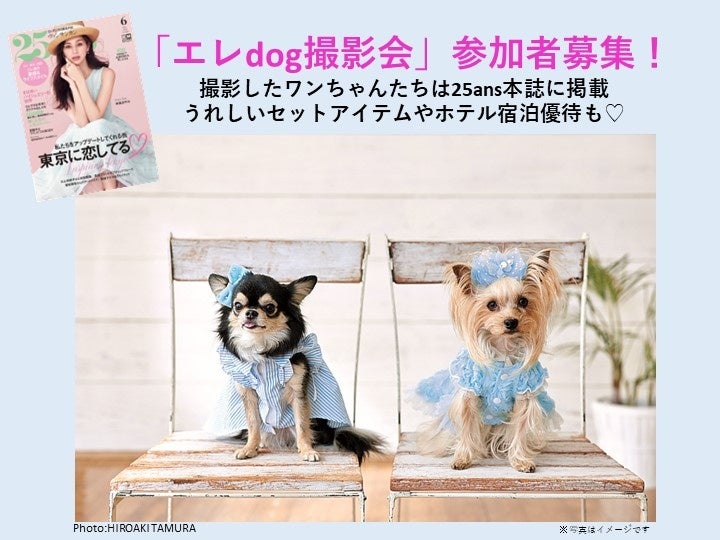 25ansエレdog撮影会