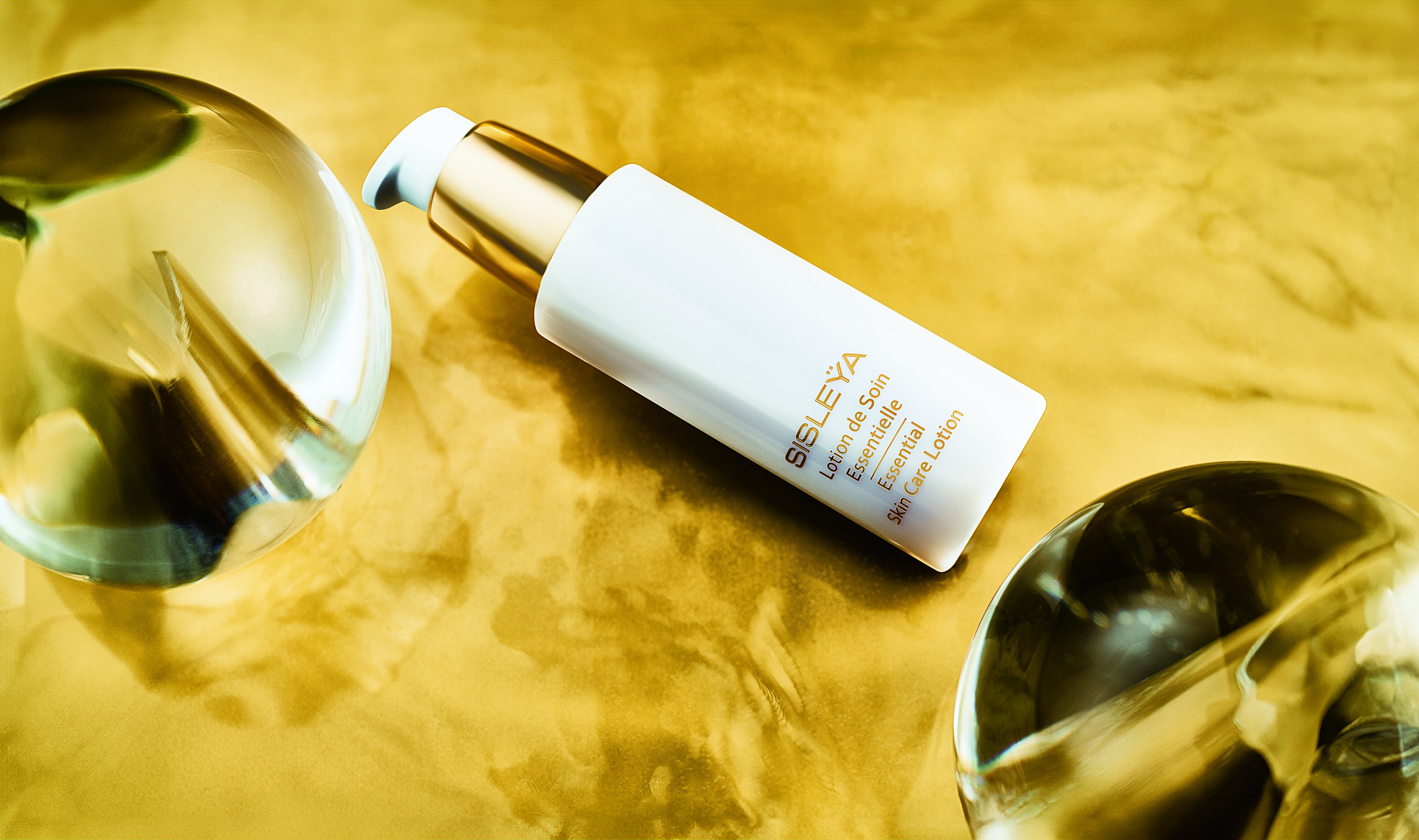 Photograph：Shun Sasaki（SIGNO）