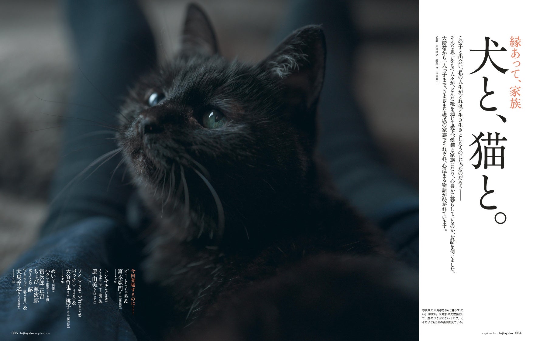 『婦人画報』9月号より「縁あって、家族。犬と、猫と。」