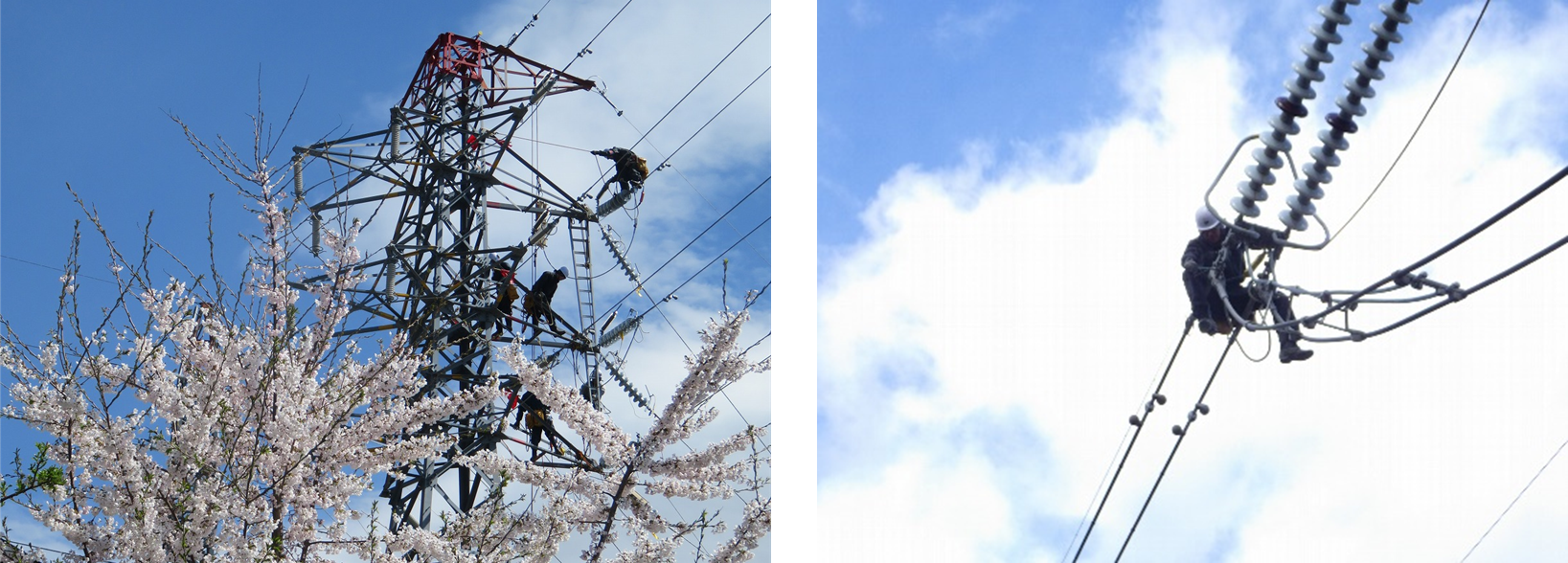 カレンダー内で紹介している写真一例