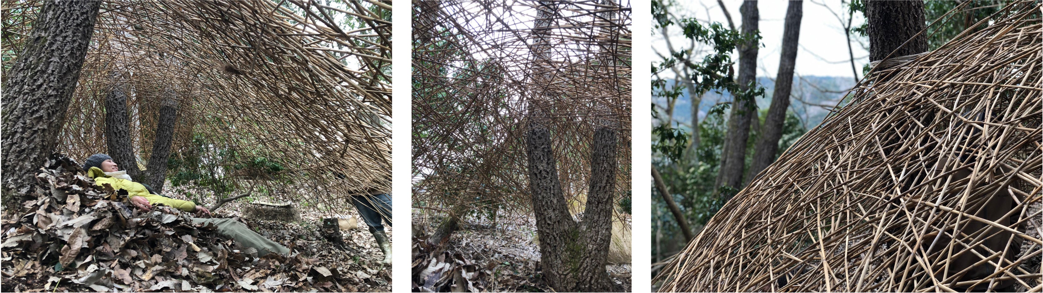 森の展示室（わち山野草の森）