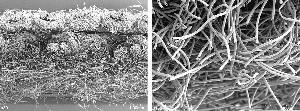 ＊左）生地断面写真、右）起毛部分の拡大写真