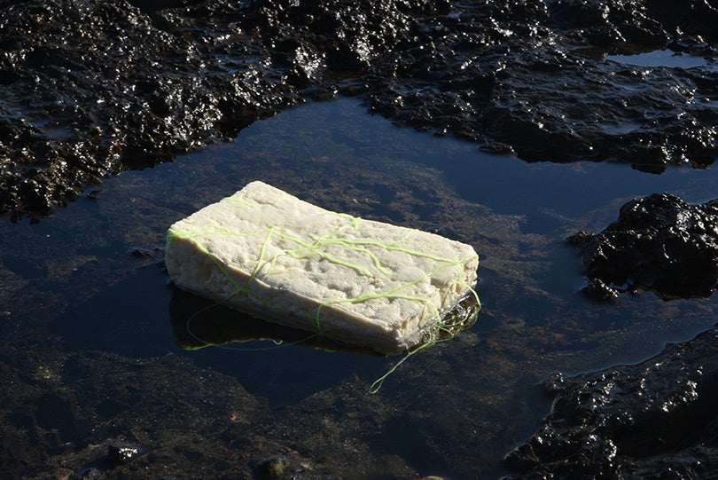 展覧会イメージ制作　森山 泰地