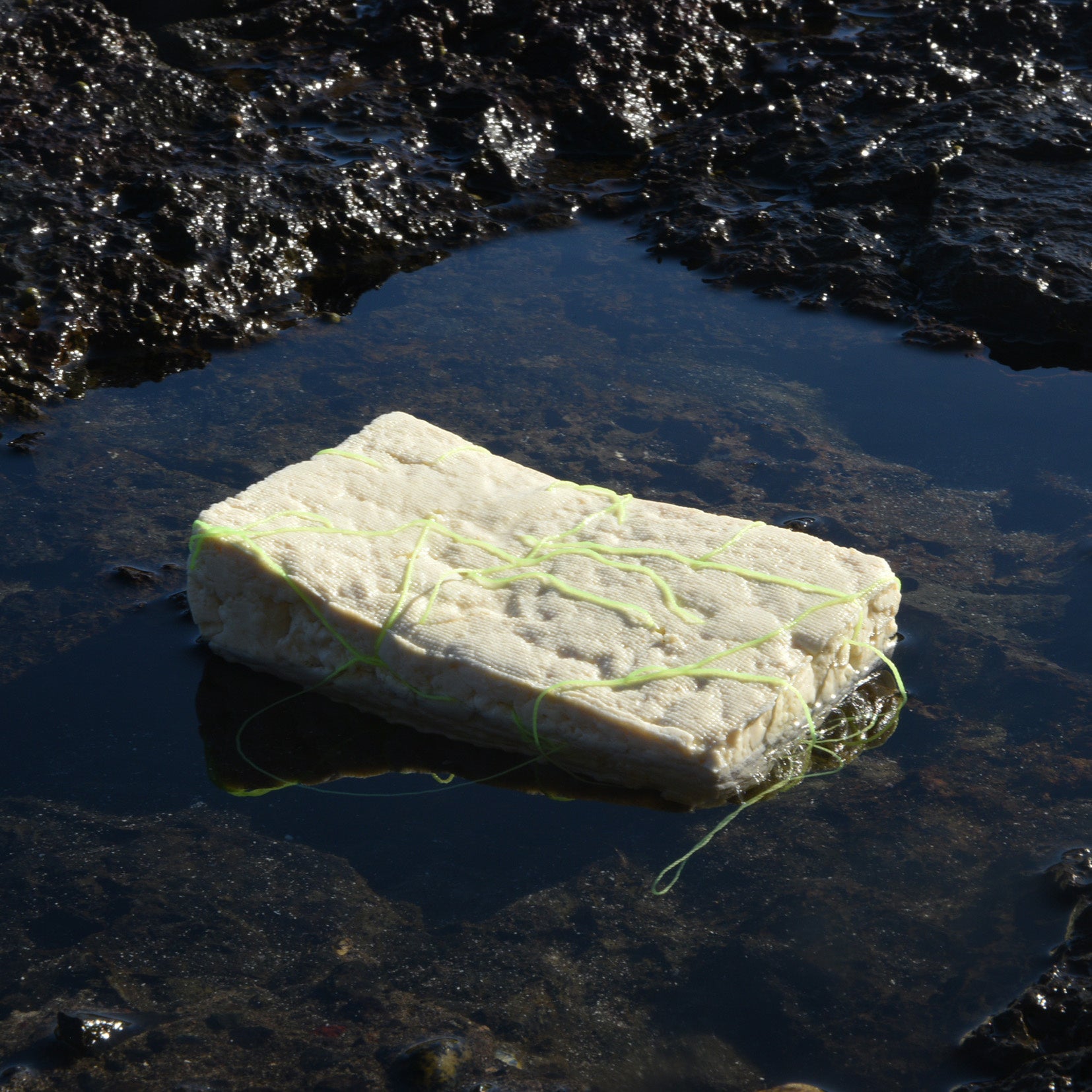 展覧会イメージ制作　森山 泰地