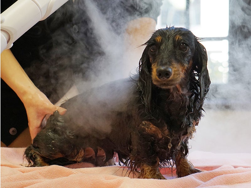 オプションメニュー：トリートメントジェルエステ