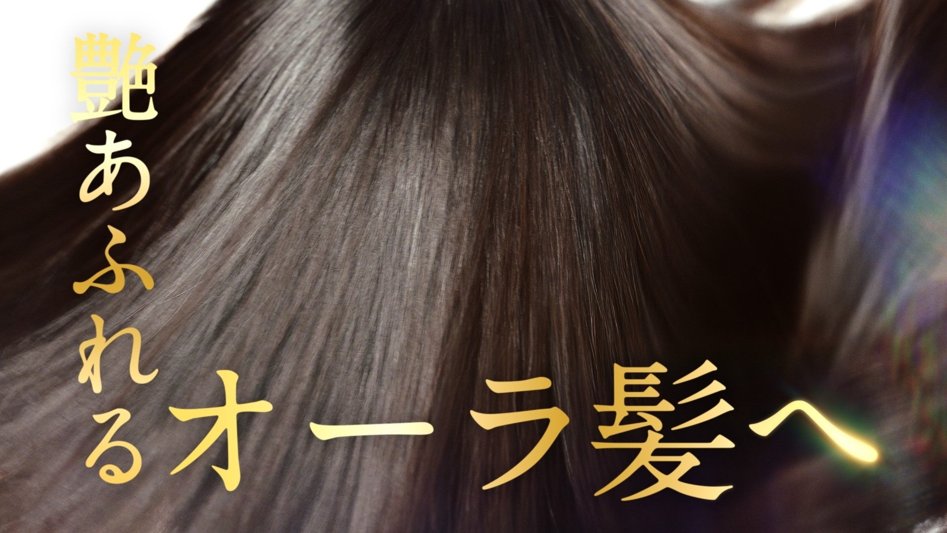 発売から3週間、大反響の「黒TSUBAKI」プレミアムEXシリーズ - MISIA ネットオンラインストア Tsubakiさん専用 アニメ