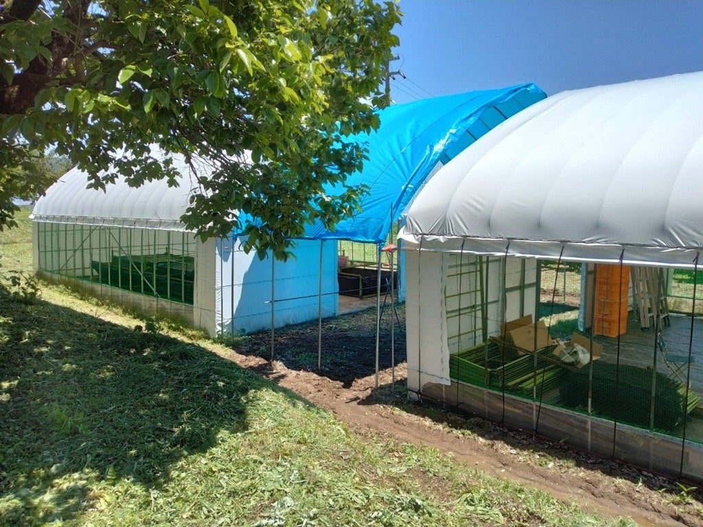 今回のプロジェクトのために⽤意された新しいハウス。