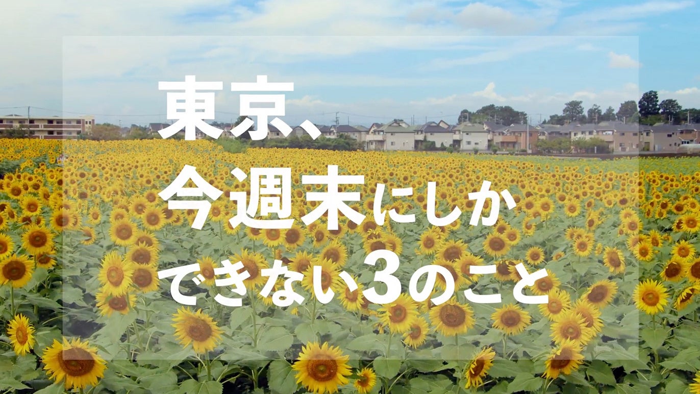 Image design_Matthias Corbeel