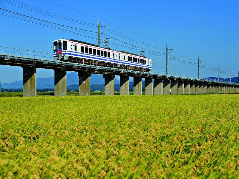 超快速スノーラビット（犀潟～くびき）