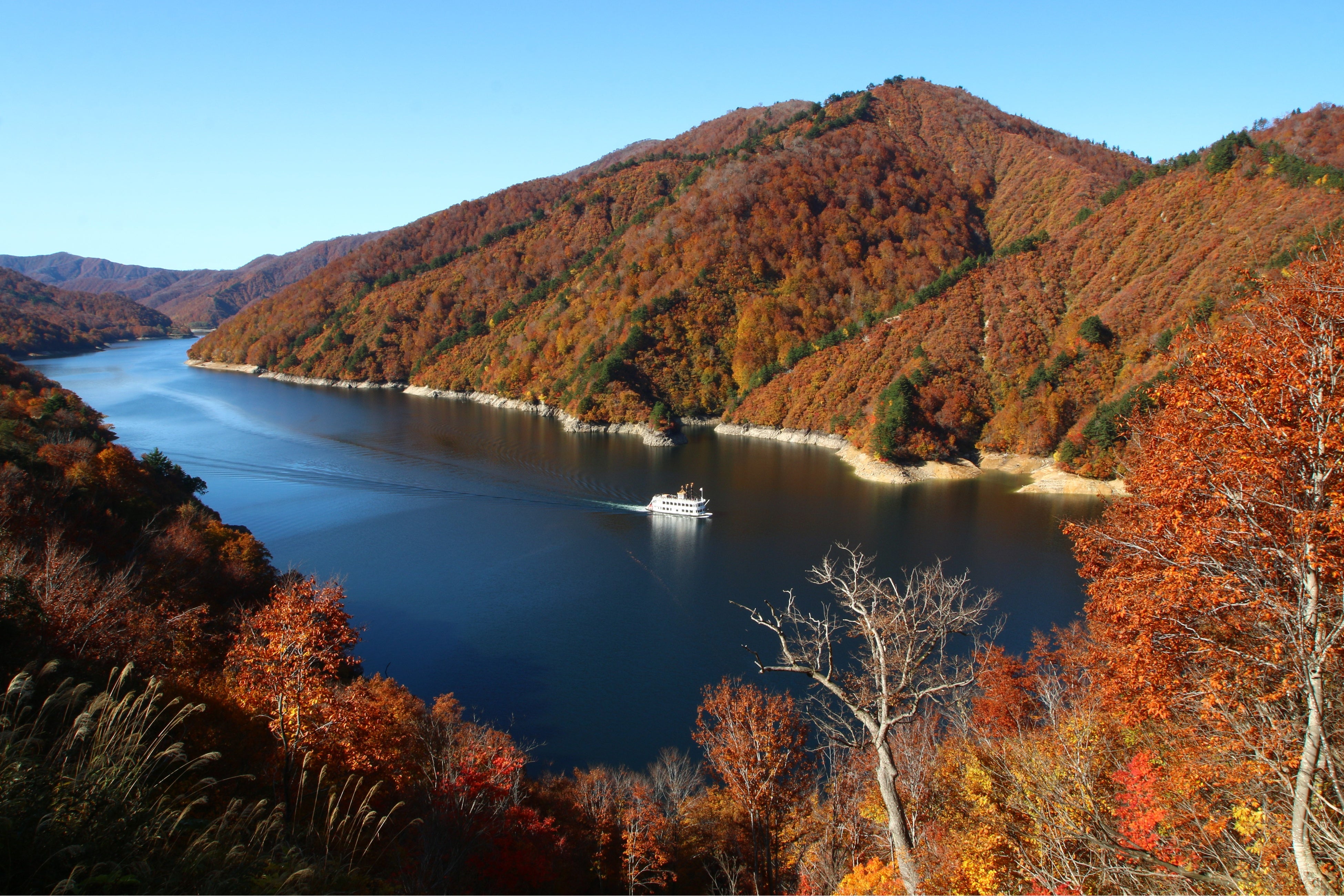 奥只見湖紅葉（全景）
