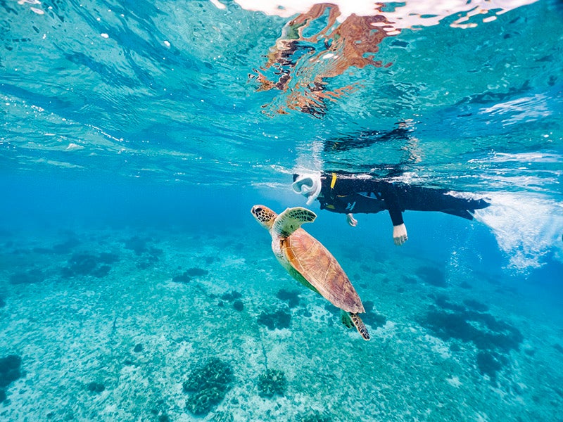 (宮古ブルーの水中世界②)