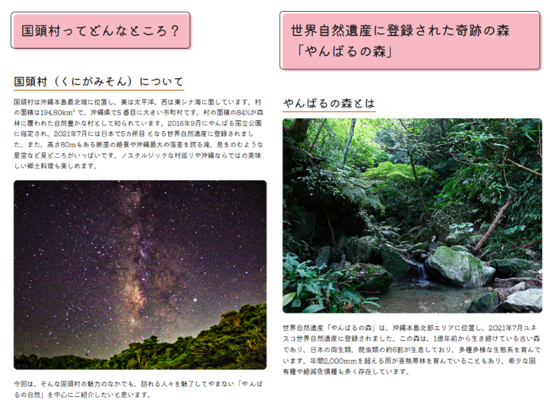  (国頭村旅コラムイメージ)