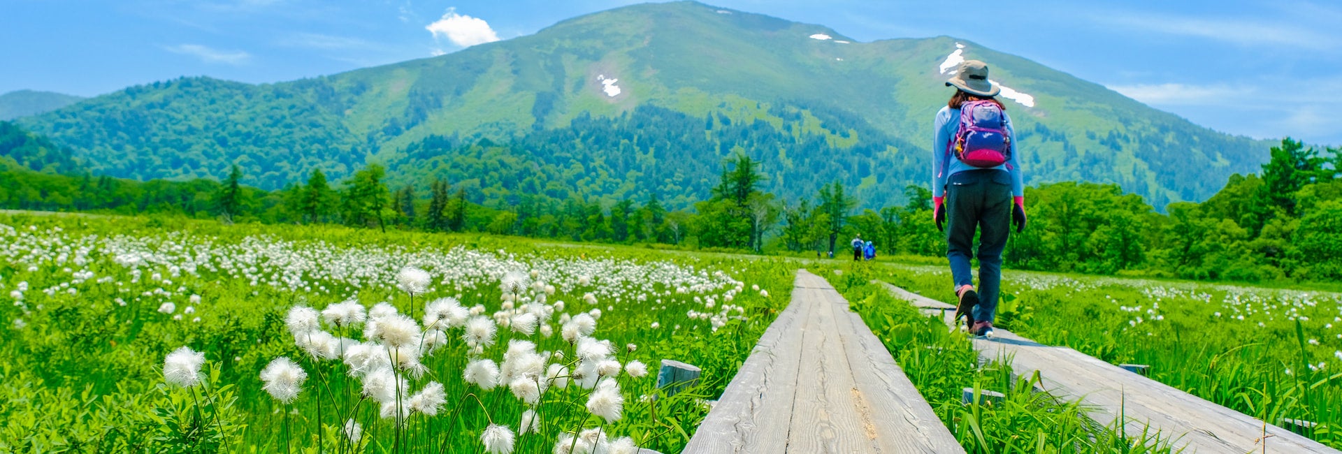 (尾瀬ツアー特集イメージ)