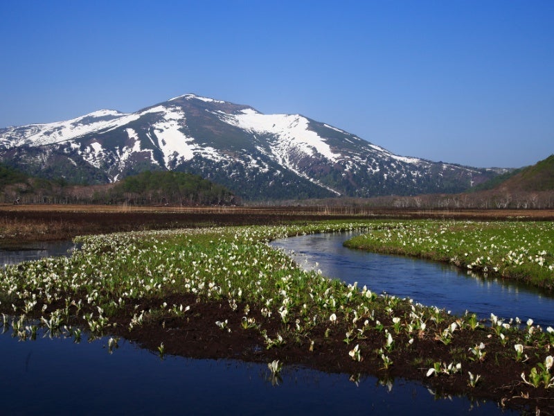 (尾瀬イメージ)