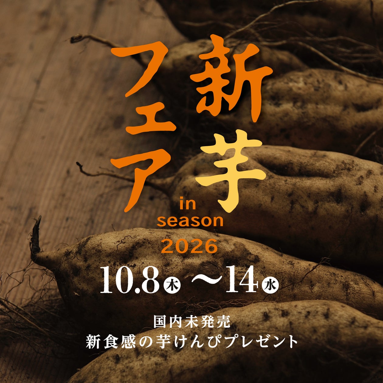 北海道発「チーズワンダー」から【新商品】ふわふわザクザク食感の ひとくちチーズケーキ「ワンダーケーキ」が登場!10月14日(水)20時~数量限定オンライン販売