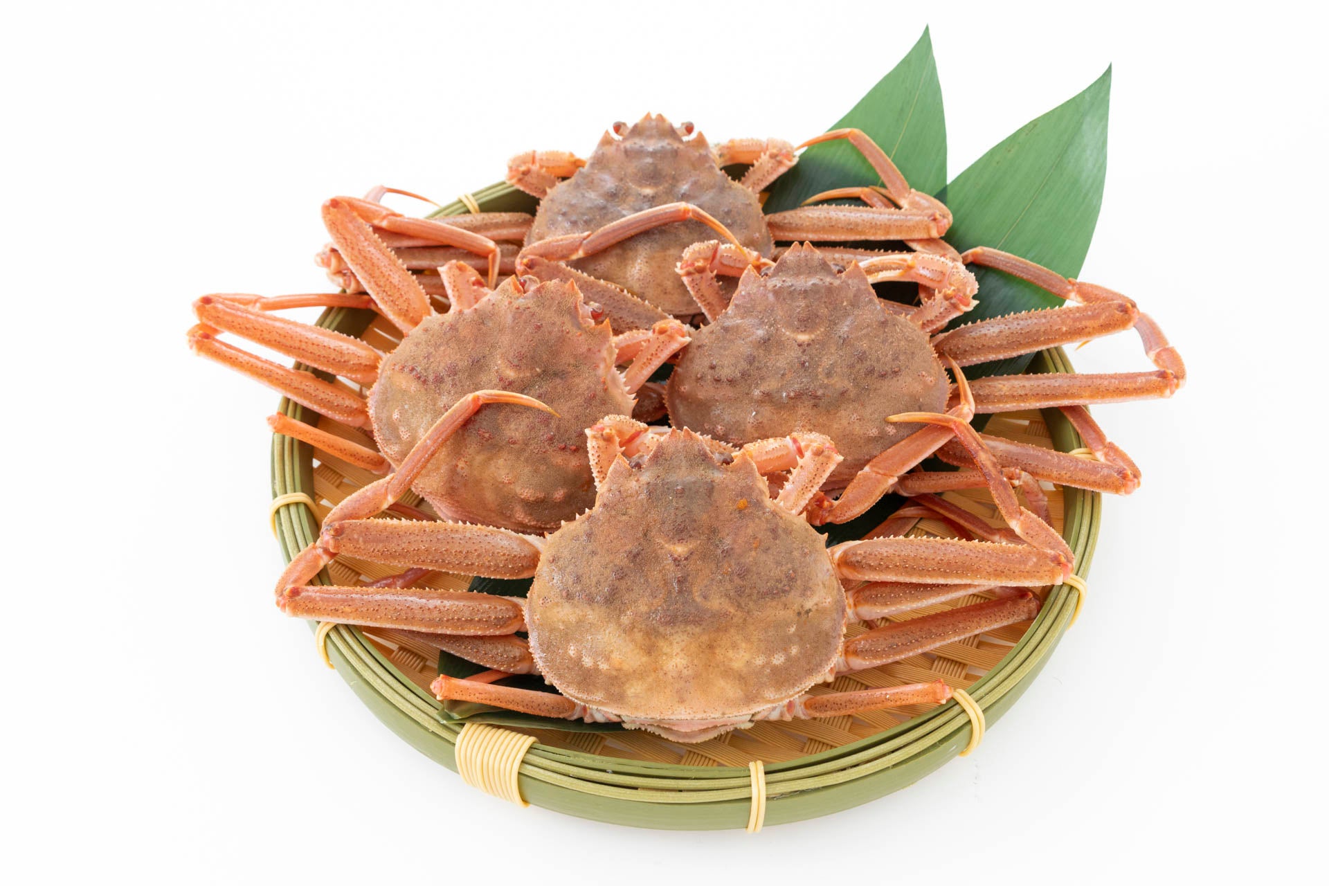 フーディソン、2023年春に北海道の一部地域で大量発生した『オオ