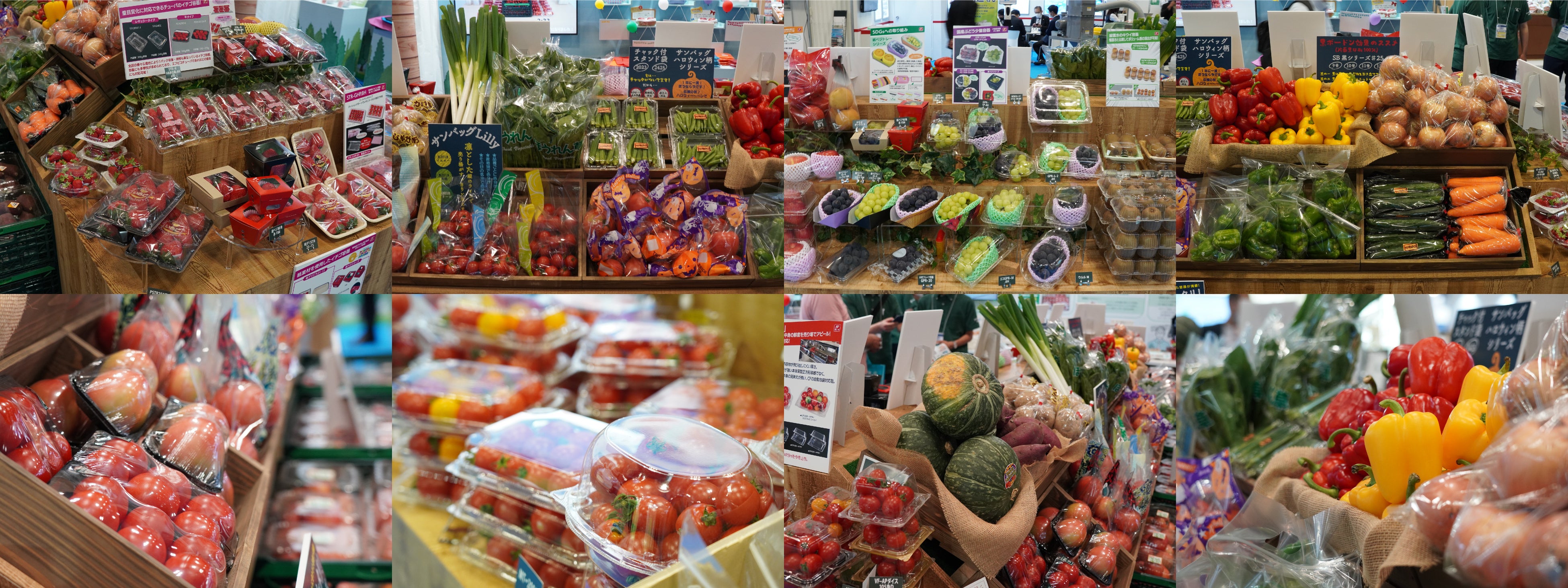 参考）農業Week２０２２のエフピコチューパ出展ブースの模様